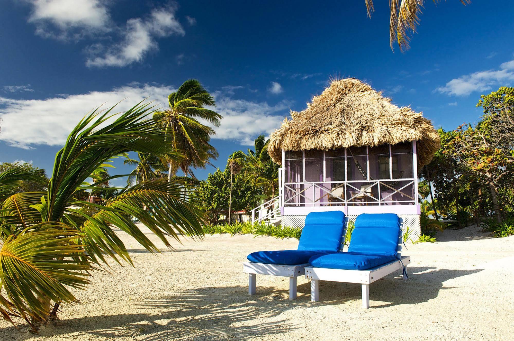 Blackbird Caye Resort Turneffe Atoll Exterior foto
